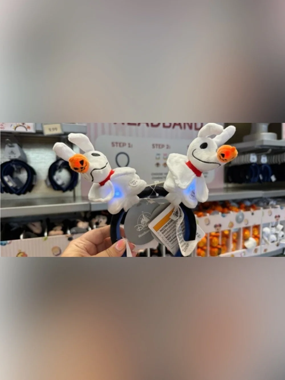 Disney nwt parks